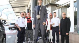 Самый высокий человек в мире - Султан Кесен - приехал в Россию искать русскую жену (14 фото + видео)