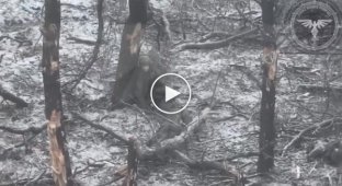 Окупант помирає в лісосмузі на околиці Авдіївки після удару дрону-камікадзе