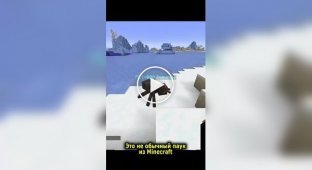 A man transferred the consciousness of a fly into a spider from the game Minecraft