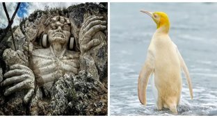 20 снимков, которые помогут ощутить простую магию нашего мира (21 фото)