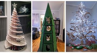 25 Christmas trees with a twist (26 photos)