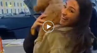 Dog meets his owner after a couple of months of separation