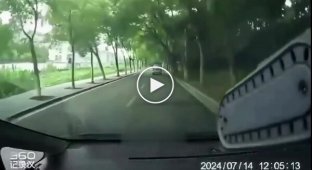 Автоучитель из Китая