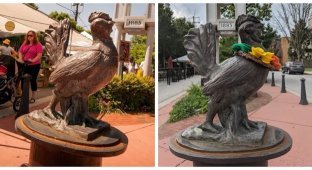 A Rooster Who Once Crossed the Road and Gained Immortality (6 Photos)