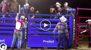 Today is just not the day to ride a bull.