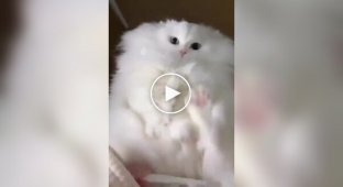 Annoyed white cloud