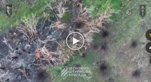 Бойцы 3-й ОШБр зачистили позиции вражеской пехоты и ликвидировали российских захватчиков