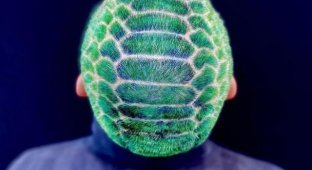 Парикмахер-художник из Нью-Йорка, который превращает волосы клиентов в арт-объекты (16 фото)