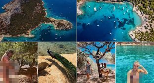 Греческий  остров, где никто не живет и экзотические животные  свободно разгуливают по песчаным пляжам (21 фото)