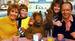 How the series "Alf" was filmed: footage from filming and 12 interesting facts about the series (15 photos)