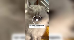 Современная квартира парижанина