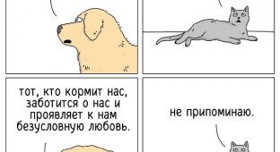 "Если бы они могли говорить": забавные комиксы о животных (15 фото)
