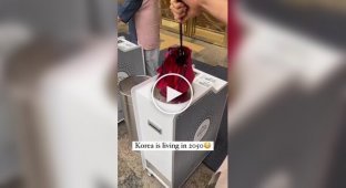 Umbrella drying device