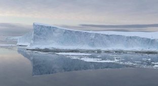 Найбільший у світі айсберг винесло у чисту воду Південного океану (7 фото + 2 відео)
