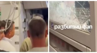 A flight attendant showed what a plane looks like after deporting migrants to Africa (2 photos + 1 video)