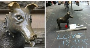 Larry La Trobe - Melbourne's favorite bronze dog (7 photos + 1 video)