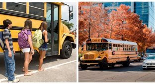 Why in the US they are more afraid of school buses than police cars (5 photos)