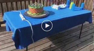 Креативный торт на день рождения