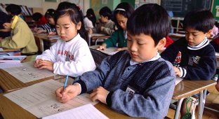How and what little Japanese learn at school (7 photos)