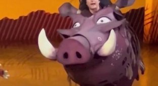 Tom Cruise tried on the costume of Pumbaa from The Lion King (2 photos + video)