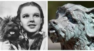 Memorial sign "Movie star Toto" - a place that has no better (9 photos)