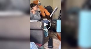 A cat interfered with a rehearsal