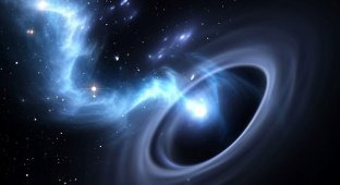 A black hole 33 times more massive than the Sun was found in the Milky Way (6 photos + 1 video)