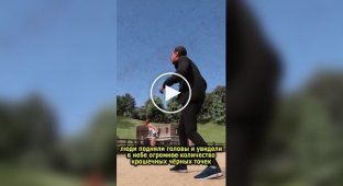 Как пауки путешествуют на дальние расстояния