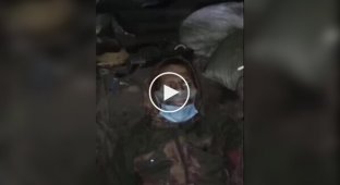 Two occupiers in the Zaporozhye region sit around the clock in a dugout next to the corpses of Russians