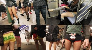 В метро без штанов 2012 (27 фото)