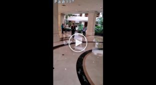 A car smashed glass doors and drove into a pond at a luxury hotel.