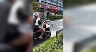 A robotic dog walks an ordinary dog