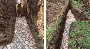 Археологи нашли в Вероне древнеримскую мозаику (4 фото)