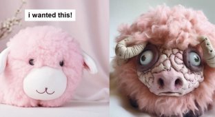 People who screwed up with online shopping (18 photos)