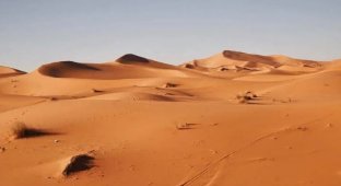 У Норвегії придумали, як перетворити пісок пустелі на родючий ґрунт лише за 7 годин (4 фото + 1 відео)
