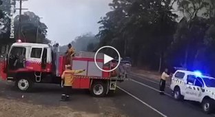Насколько быстро распространяются пожары в лесах