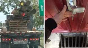 15 photos that will make your heart beat faster and faster (16 photos)