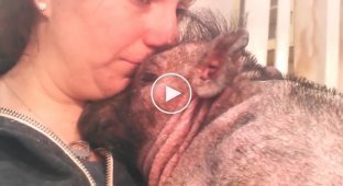 The way she calmed her frightened pet will bring tears to your eyes