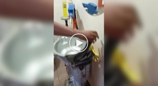 Автомобильное видео (короткие видео). Выпуск 23