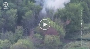 Defense Forces destroyed a tank, 4 vehicles and 6 enemy positions in the South Slobozhansky direction