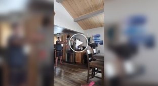 A jump without a doubt: a cat jumped from a chair straight into his owner's arms