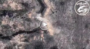Морські піхотинці показали ліквідованих російських загарбників, розкиданих на полі бою