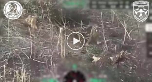 An FPV drone of the 47th Mechanized Brigade destroyed two invaders in their hole in the Avdeevsky direction