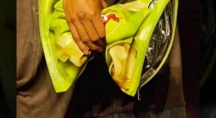 Balenciaga випустять сумку у вигляді пакета з-під чіпсів (3 фото)