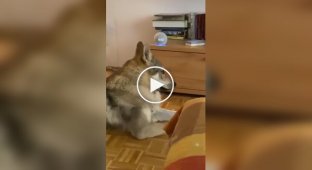 Волчьи корни напомнили о себе