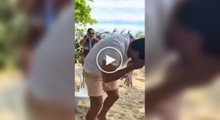 A funny challenge I trust my wife I trust my wife, wife, husband, failure, fail, challenge