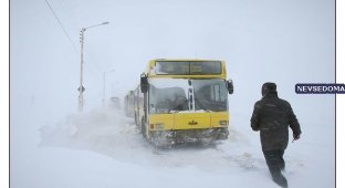 Зима в Норильске (19 фото)