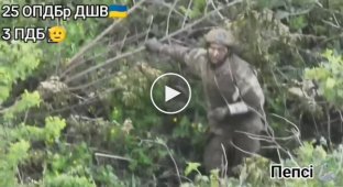 Російський окупант, що залишився віч-на-віч з українським дроном, зумів вимолити пощаду, здавшись у полон