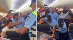 Пассажира пожизненно отстранили от полетов за скандал на борту (8 фото)