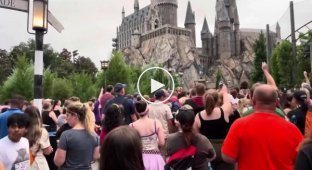Harry Potter fans raised their wands in front of Hogwarts and said goodbye to Dumbledore